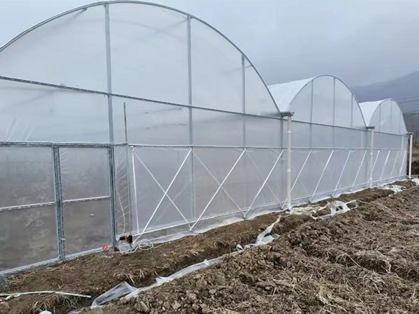 薄膜大棚工程
