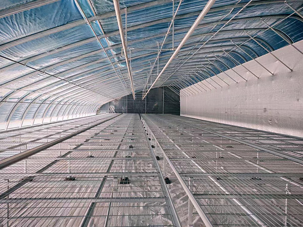 大慶日光大棚建造