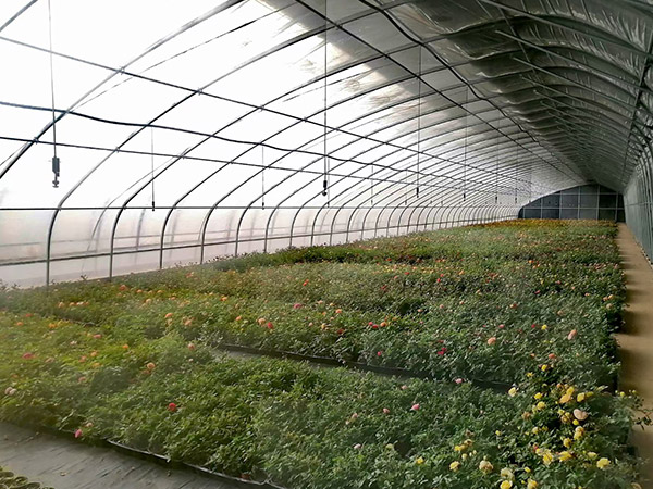 日光溫室造價(jià)