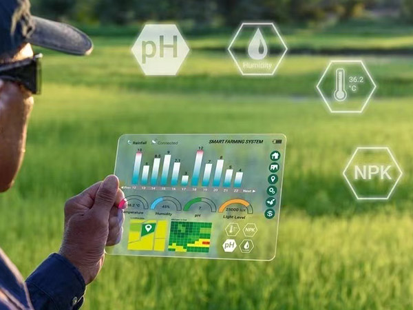 新鄉(xiāng)新型農(nóng)業(yè)智能化溫室大棚