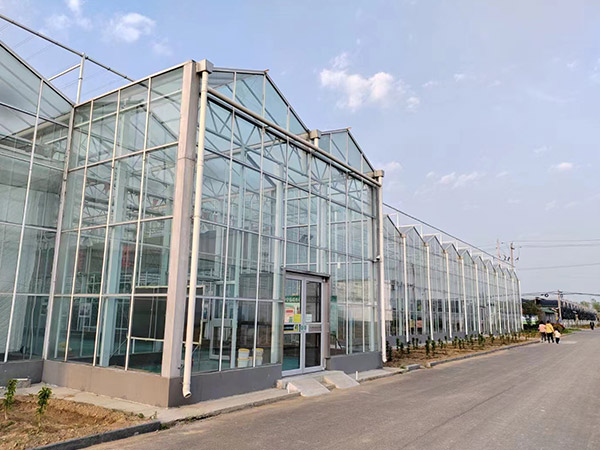 黑河玻璃溫室大棚工程