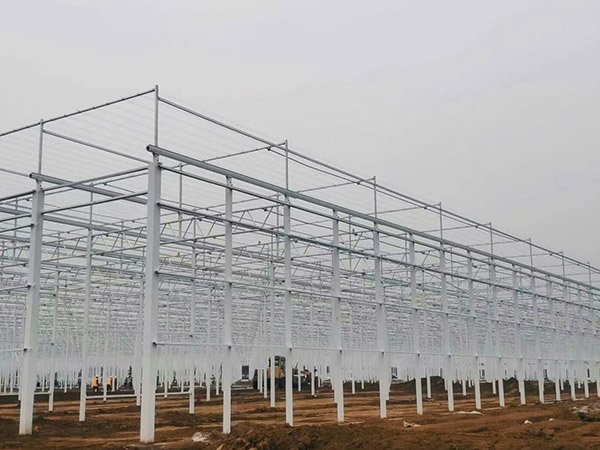 濱州溫室大棚骨架