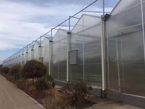 大慶陽光板大棚造價(jià)