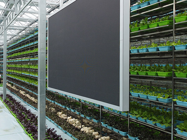 物聯(lián)網控制系統(tǒng)